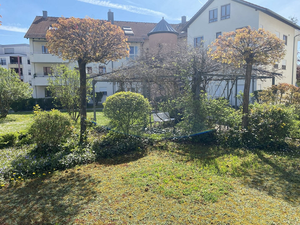 Real Estate Title Image Background