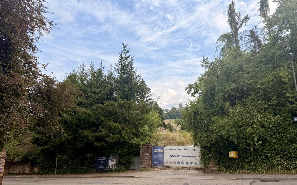 Real Estate Title Image Background