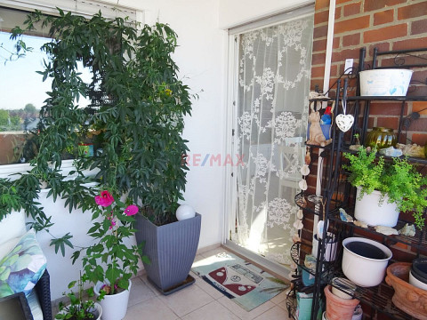 Wohnung zum Kauf in 64521 Groß-Gerau / Dornheim