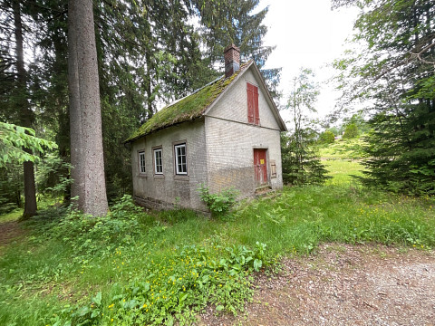 Freizeitgrundstück mit älteren Gebäude zu renovieren als Ferienhaus mitten im Wald.